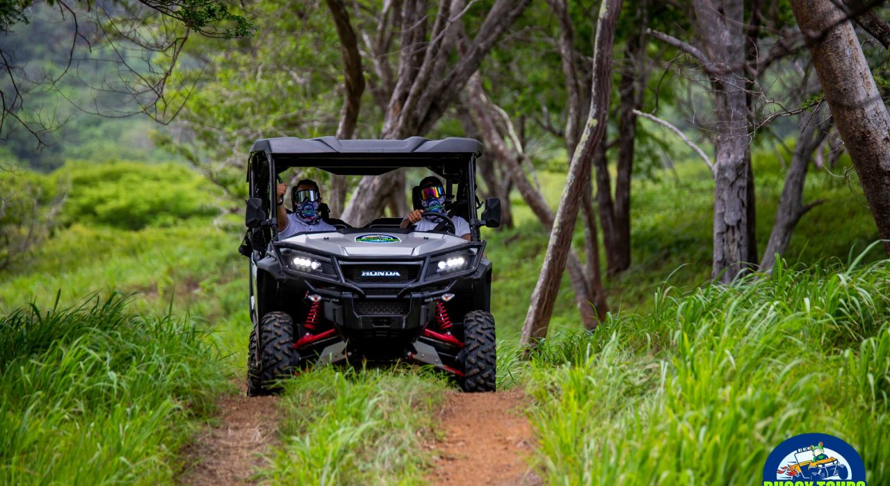 front of buggy