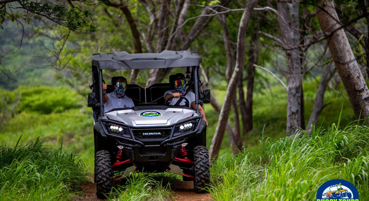 front of buggy