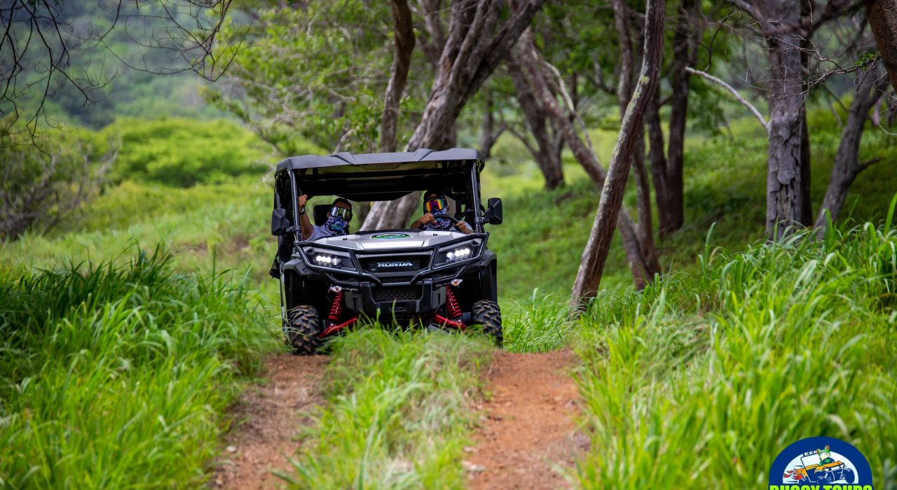 front of buggy