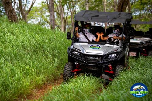 riding a buggy